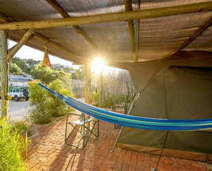 Garden Tent