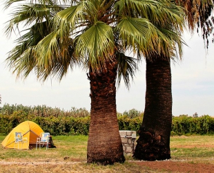 Campsite